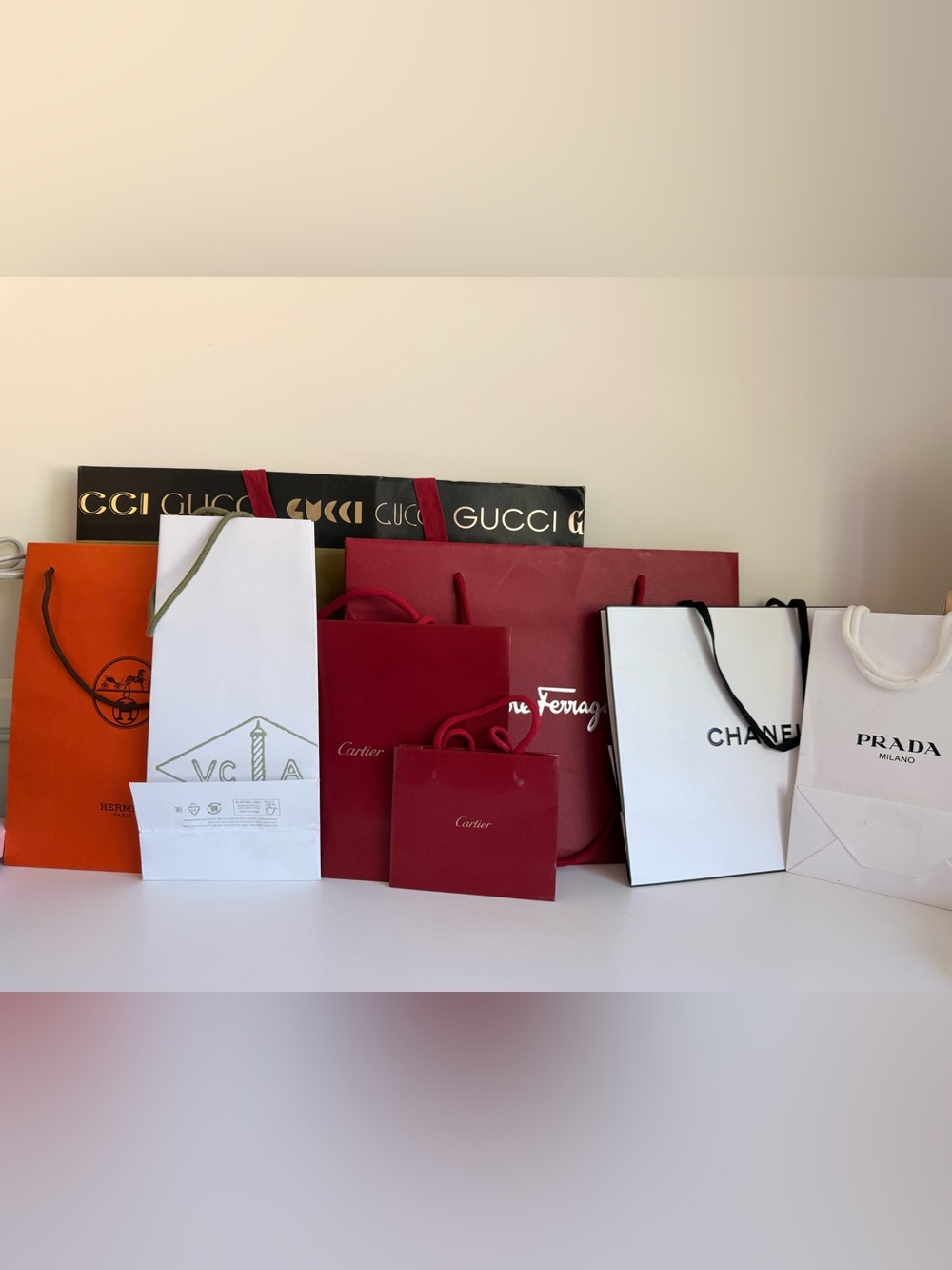Luxury Designer Shopping Bags 🛍️